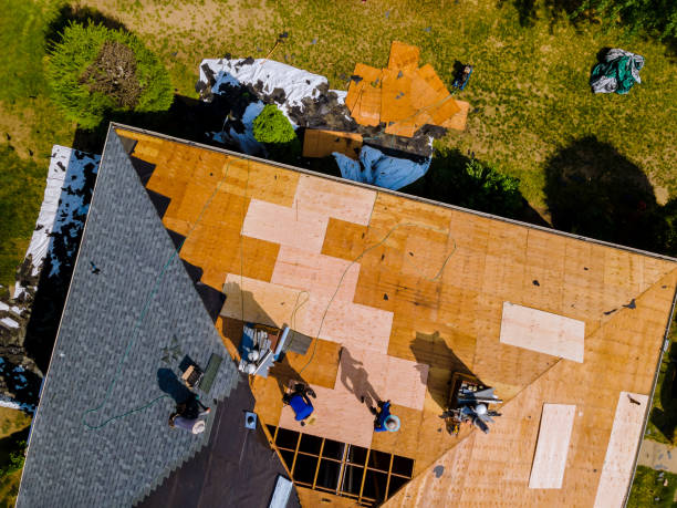 Best Roof Waterproofing Services  in Sesser, IL