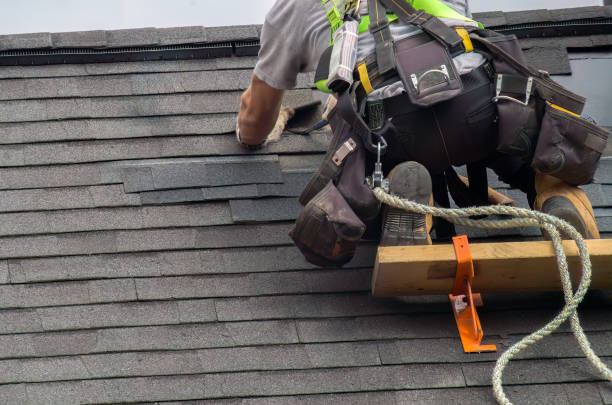 Best Commercial Roofing Services  in Sesser, IL