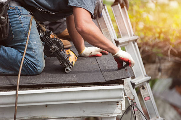 Best Gutter Installation and Roofing  in Sesser, IL